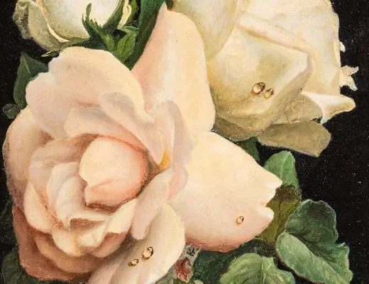 Roses dans un vase